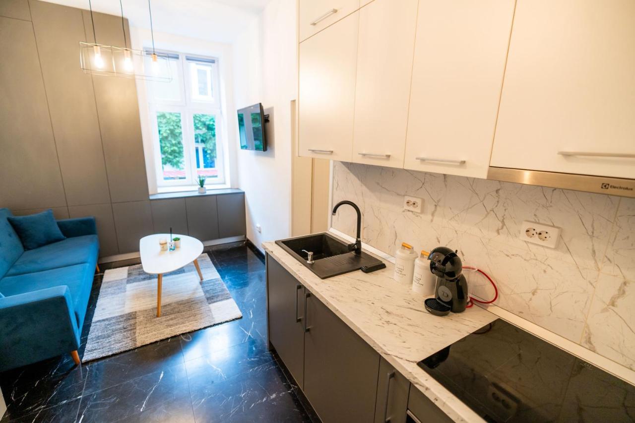 Guest Studio Apartman Brassó Kültér fotó